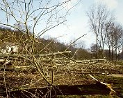 de Ritwee erof 27.2.1995_004 My beautiful picture