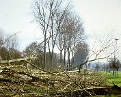 de Ritwee erof 27.2.1995_005 My beautiful picture