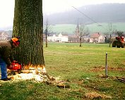 de Ritwee erof 27.2.1995_017 My beautiful picture