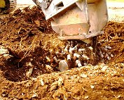 Wurzelen ewech 10.5.1995_004 My beautiful picture