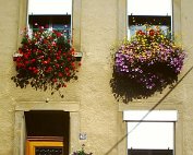 eng Freed 6.8.1997_001 My beautiful picture