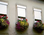 Blummen 4.9.1999 _001 My beautiful picture