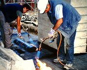 Lcd 6.10.1999 _002 My beautiful picture