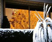 Wanter 19.12.1999 _011 My beautiful picture